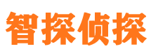 魏都外遇调查取证